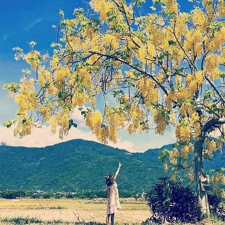 Pu Shi Homestay 玉里鎮 エクステリア 写真
