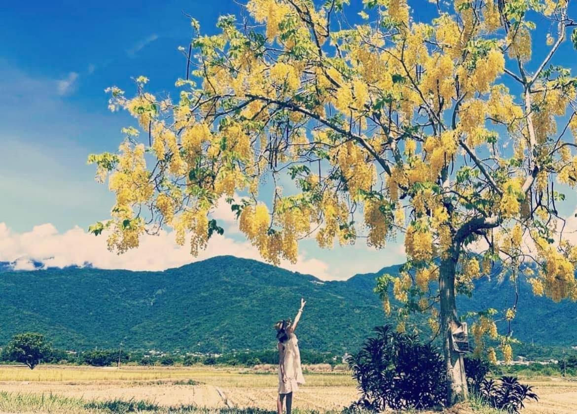 Pu Shi Homestay 玉里鎮 エクステリア 写真