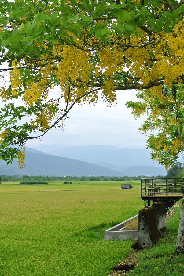 Pu Shi Homestay 玉里鎮 エクステリア 写真